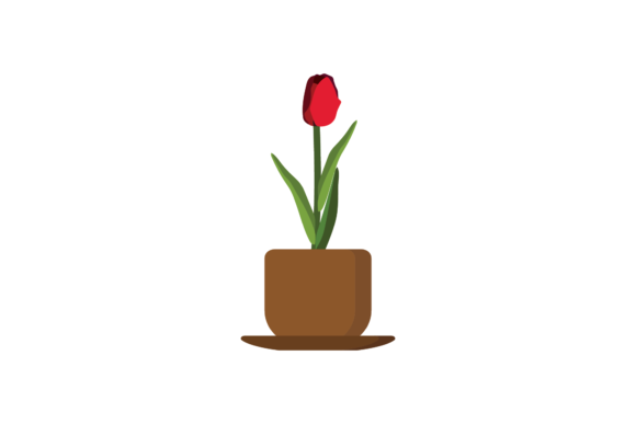Beautiful Decorative Flowers