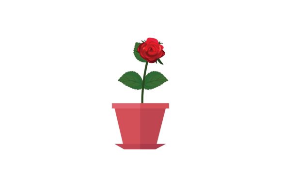 Decorative Flower Design Review